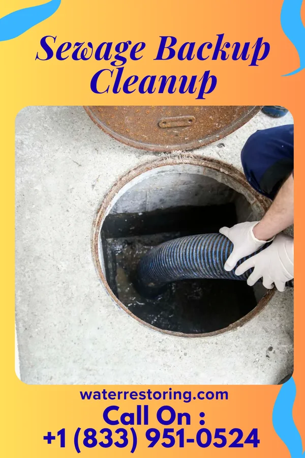 Sewage Backup Cleanup in Whitewater, MO
